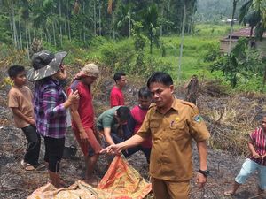 Pria Paruh Baya di Pesisir Selatan Tewas Terbakar di Lahan yang Dibukanya