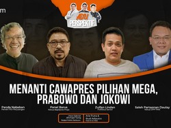 Adu Perspektif: Menanti Cawapres Pilihan Mega, Prabowo dan Jokowi