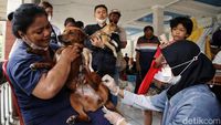 Anjing, Kucing dan Kera di Bekasi Divaksinasi untuk Cegah Rabies