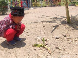 Ketika Bayangan Menghilang dari Kota Semarang Siang Ini