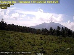 Gunung Ibu Kembali Erupsi, Warga Diimbau Waspada Hujan Abu