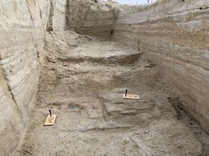 Jejak Kaki Kuno di New Mexico Buktikan Manusia Ada di AS Sejak 23.000 Tahun Lalu Jejak Kaki Kuno di New Mexico Buktikan Manusia Ada di AS Sejak 23.000 Tahun Lalu