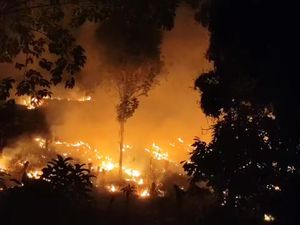Kebakaran Hutan di Enrekang Masuk Hari Keempat, 50 Hektare Areal Hangus Kebakaran Hutan di Enrekang Masuk Hari Keempat, 50 Hektare Areal Hangus