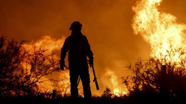 Kebakaran Hutan Mengamuk di Argentina Gegara Api Unggun