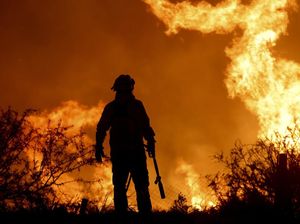 Kebakaran Hutan Mengamuk di Argentina Gegara Api Unggun