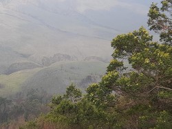 Alhamdulillah, Savana Bromo yang  Hangus Terbakar Kembali Menghijau