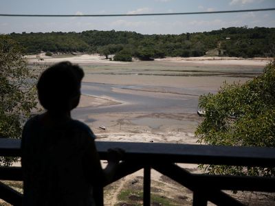 Ngeri! Sungai Amazon Mengering, Warlok Kurang Air Bersih, Lumba-lumba Mati