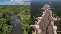 Sungai Amazon Mengering Dalam Waktu Singkat, Begini Potretnya