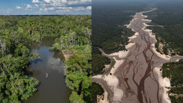 Sungai Amazon Mengering Dalam Waktu Singkat, Begini Potretnya