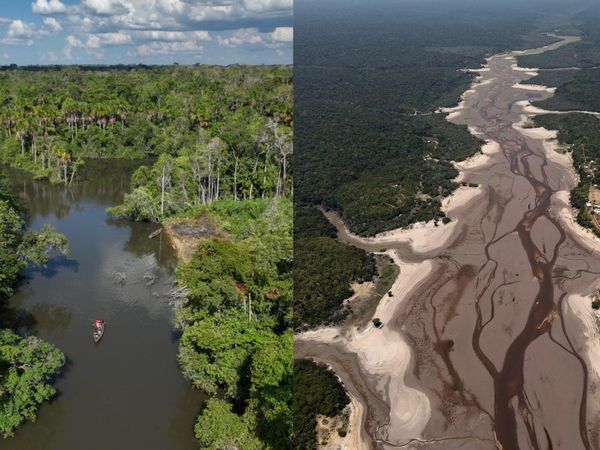 Sungai Amazon Mengering Dalam Waktu Singkat, Begini Potretnya
