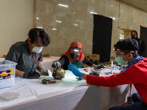 Pasca Kebakaran Museum Nasional, Kemendikbud Identifikasi 598 Koleksi Pasca Kebakaran Museum Nasional, Kemendikbud Identifikasi 598 Koleksi