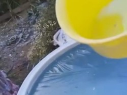 Viral Suhu Dingin Ranupani hingga Minus 5 Derajat Celsius Bikin Air Beku