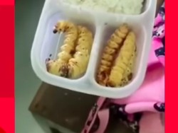 Ucapan Soal Bekal Ulat Sagu Siswa SD Disorot, Guru Minta Maaf