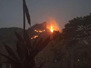 Sempat Terbakar, Bukit Cumbri Wonogiri Ditutup Sementara