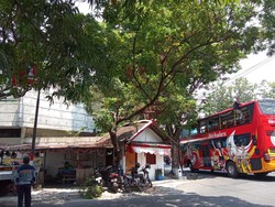 Waduh! Bus Tingkat Wisata Werkudara Solo Nyangkut Kabel di Gilingan