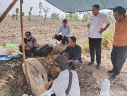 Dua Prasasti Sambangan di Kebun Jagung Lamongan Mulai Diekskavasi