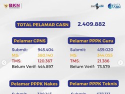 Peta Persaingan Pelamar CPNS dan PPPK 2023, Yuk Cek!