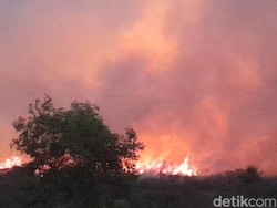 KLHK Segera Tuntaskan Eksekusi Putusan Perdata Karhutla PT JJP