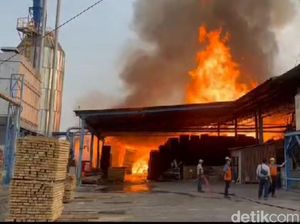 Kebakaran Pabrik PT Nankai Indonesia di Gresik, 2 Karyawan Alami Luka Bakar