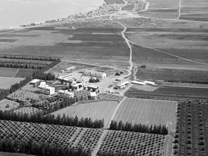 Sejarah Kibbutz, Cikal Bakal Israel