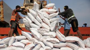 Penampakan 24.000 Ton Beras Impor Vietnam Tiba di Priok
