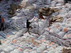 Catat! RI Teken Kontrak Impor Beras 700 Ribu Ton dari 4 Negara Ini