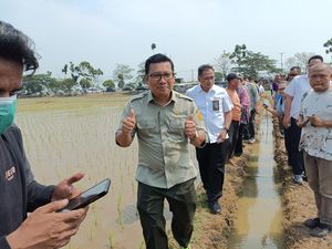 Plt Mentan Pastikan Stok Pupuk buat Musim Tanam Aman