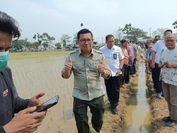 Ogah Jawab soal Isu Pungli di Kementan, Plt Mentan: Kita Sudah Lupakan