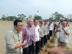 Plt Mentan Minta Eselon I Dengar Keluhan Petani: Dengerin, Jangan Dilawan!