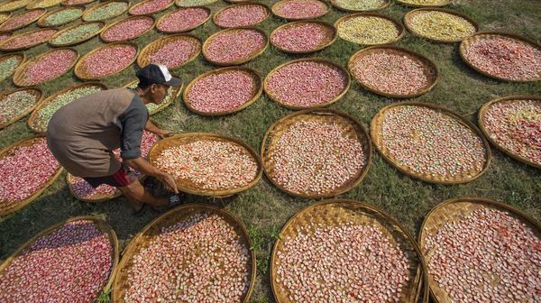 Musim Kemarau Produksi Kerupuk Makin Kriuk
