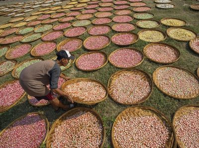 Musim Kemarau Produksi Kerupuk Makin Kriuk
