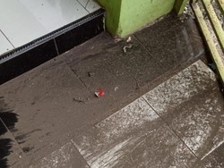 Warga Morowali Curhat Rumah Rusak-Anak Ispa gegara Debu Batu Bara PT IMIP