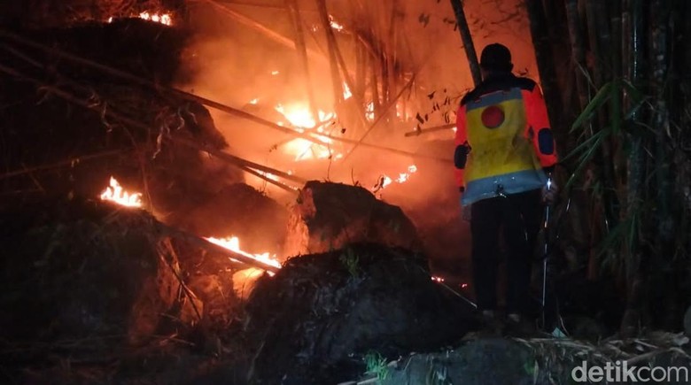 BPBD Ungkap Kebakaran 50 Hektare Hutan di Enrekang Dipicu Warga Berburu Madu