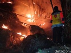 Kebakaran Hutan di Enrekang Sudah Padam, 150 Hektare Areal Hangus