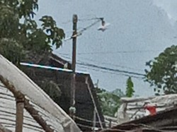 Lereng Gunung Ungaran Semarang Terbakar!