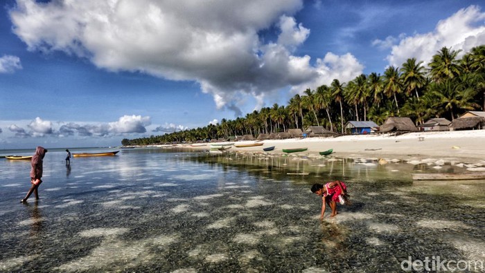 Tnyafar, Kearifan Lokal Masyarakat Tanimbar Ada hal yang menarik dari masyarakat di Kepulauan Tanimbar, Maluku. Namanya ‘Tnyafar’? Tradisi unik ini dilakukan oleh warga Desa Adaut sejak zaman nenek moyang dan menjadi salah satu cara bertahan hidup khas masyarakat setempat.