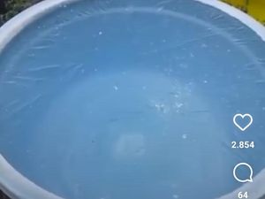 Viral Air di Ranupani Lumajang Beku, BPBD Sebut Belum Ada Fenomena Frost Viral Air di Ranupani Lumajang Beku, BPBD Sebut Belum Ada Fenomena Frost