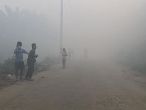 Kebakaran TPA Suwung Belum Padam, Sampah dari Denpasar Dibuang ke Gianyar