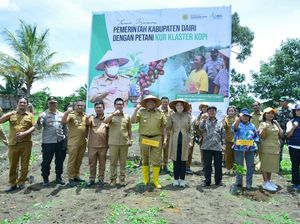 Langkah Strategi Bupati Dairi Dongkrak Produksi Kopi Sidikalang Langkah Strategi Bupati Dairi Dongkrak Produksi Kopi Sidikalang