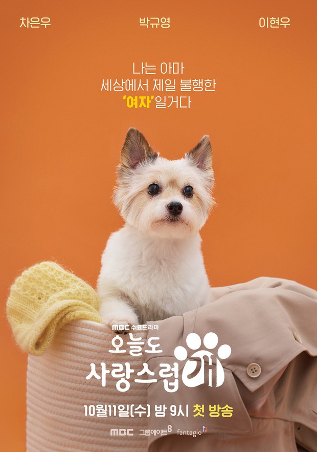 Drama Korea on going, A Good Day to Be a Dog (2023)/ Foto: MBC