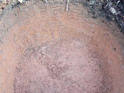 Sistem Biogas Peternakan Sapi di Pancoran Jaksel Dibikin, 3 Lubang Digali