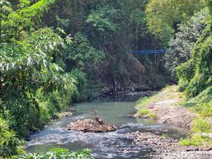 Beredar Video Bernarasi Banjir Sampah di Kali Code, Begini Faktanya Beredar Video Bernarasi Banjir Sampah di Kali Code, Begini Faktanya