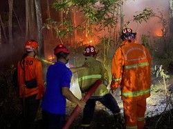 Kawasan Hutan Pinus Dermosari Trenggalek Terbakar