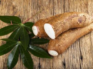 5 Manfaat Daun Singkong dan Kandungan Gizinya 5 Manfaat Daun Singkong dan Kandungan Gizinya