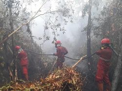 Sumsel Masih Diguyur Hujan, Pemprov Belum Naikkan Status Karhutla