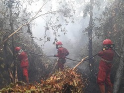 Sumsel Masih Diguyur Hujan, Pemprov Belum Naikkan Status Karhutla