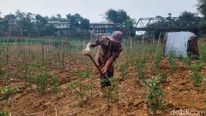 Warga Bandung Tanam Cabai di Dasar Sungai Cibitung