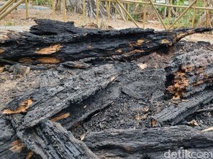Cerita Pohon Randu Alas Terbakar di Makam Pleret, Konon Era Mataram Islam Cerita Pohon Randu Alas Terbakar di Makam Pleret, Konon Era Mataram Islam