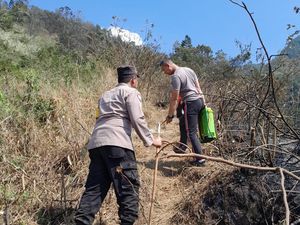 Polisi-Relawan Sisir Titik Api Gunung Ungaran, Kebakaran Dipastikan Padam Polisi-Relawan Sisir Titik Api Gunung Ungaran, Kebakaran Dipastikan Padam