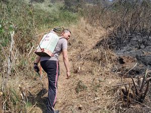 Api di Gunung Ungaran Semarang Dipastikan Padam Api di Gunung Ungaran Semarang Dipastikan Padam